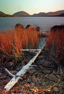 http://juergenroth.photoshelter.com/gallery/Maine-and-Acadia-National-Park/G0000DectqkOMEv4/