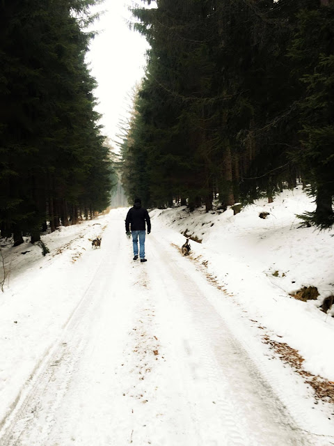 podróże z psem, w góry z psem, karkonosze z psem