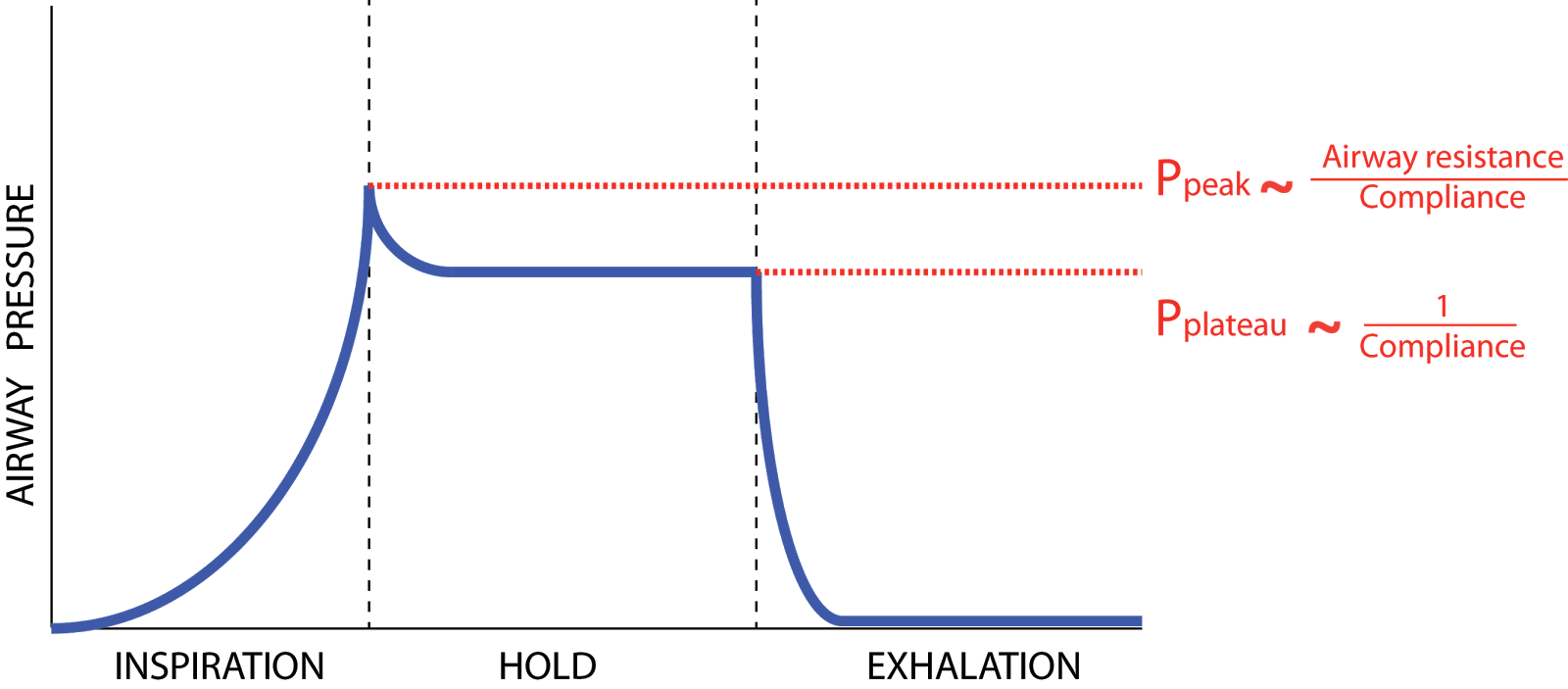 calculating tidal volume calculating tidal volume