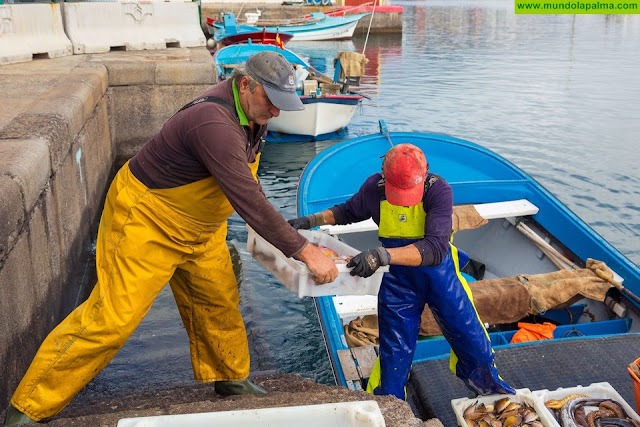 El Cabildo abona las subvenciones para las cofradías de pescadores de La Palma