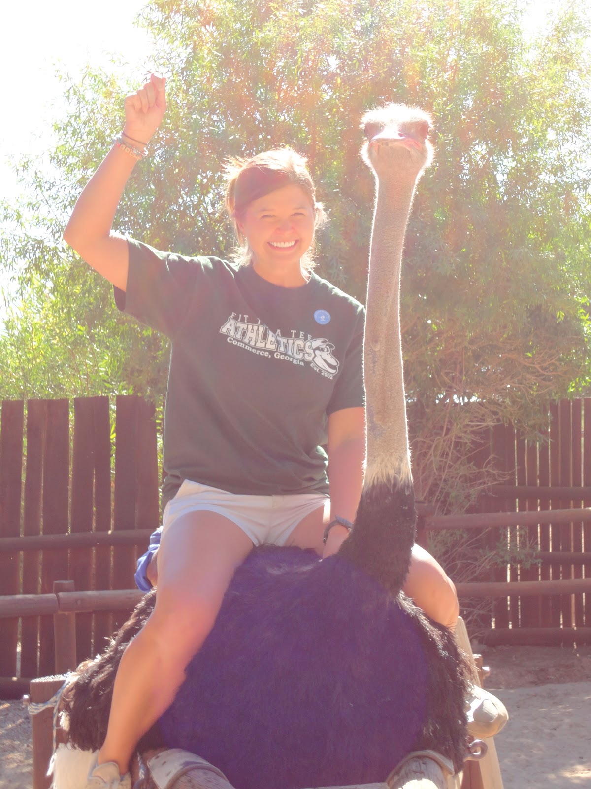 Summer's in South Africa: Save a Horse, Ride an Ostrich