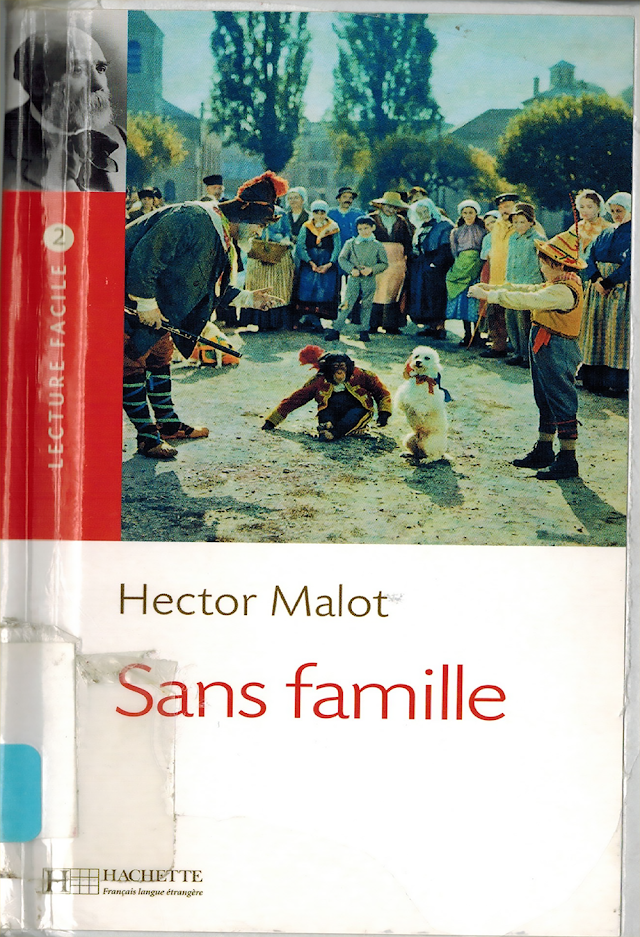 تحميل القصة الرائعة ( بدون عائلة - Sans famille ) للكاتب (هيكتور مالوت) باللغة الفرنسية PDF + ملخص القصة مترجم