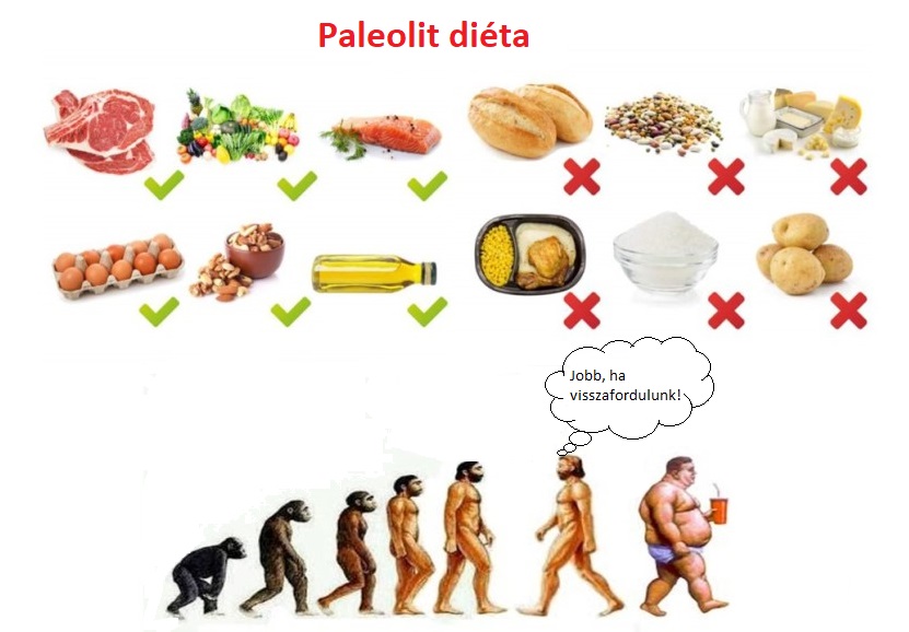 Cetosis dieta paleo