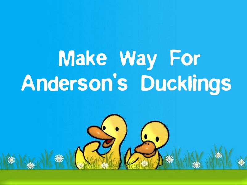 Make Way For Anderson's Ducklings
