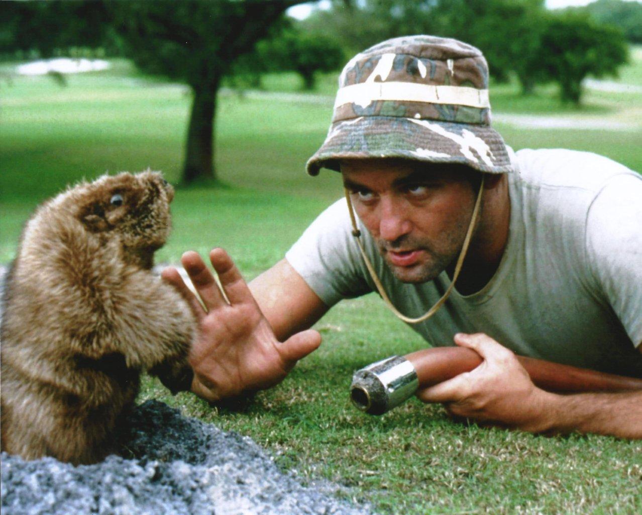 Vague Idea Racing Stupid is as stupid sounds