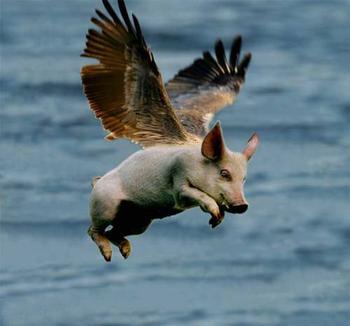 little%2Bpiggy.jpeg