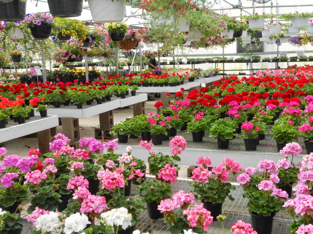 The Lucas Countyan Greenhouses, gardens & gods.