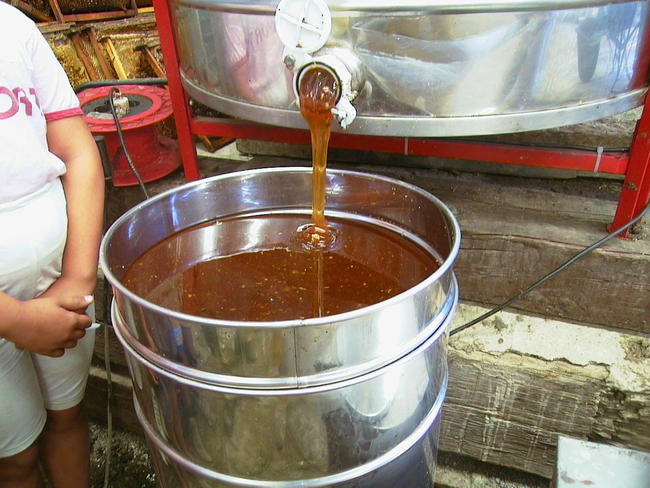 CORONA APICULTORES CONTROL DE CALIDAD DE LA MIEL