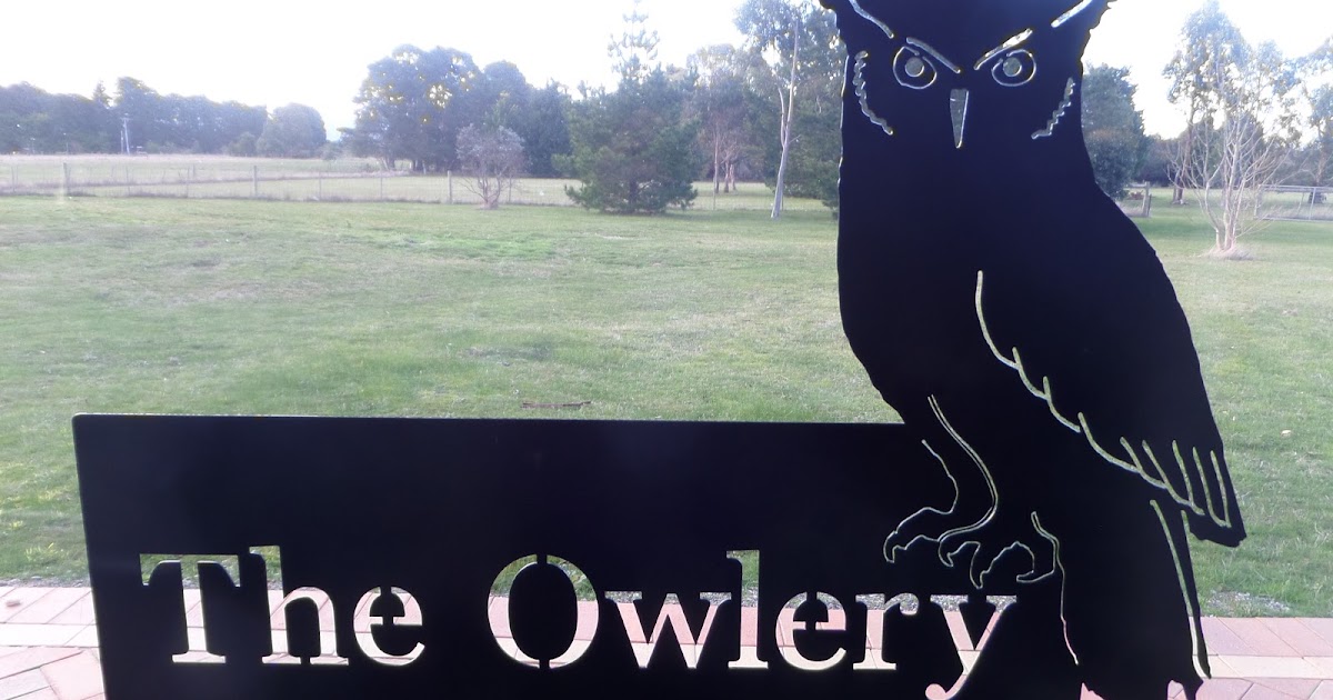 Kiwikids page Gisborne and Quilt Fair super photo heavy