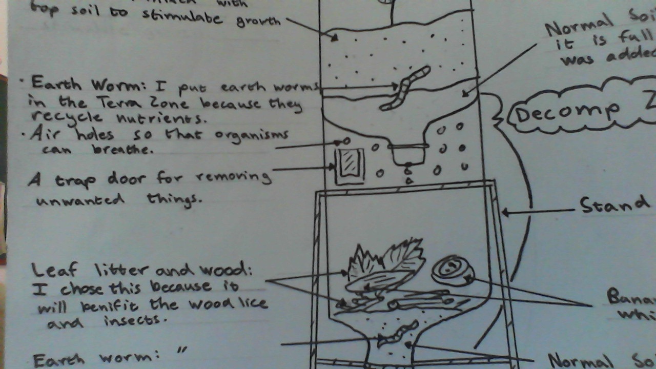 ECO (np,tk,as) COLUMN February 2013