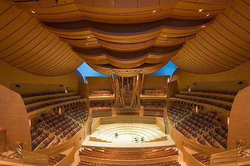 ,Disney Concert Hall,Walt Disney Concert Hall