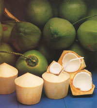 MANFAAT BUAH KELAPA MANFAAT BUAH KELAPA