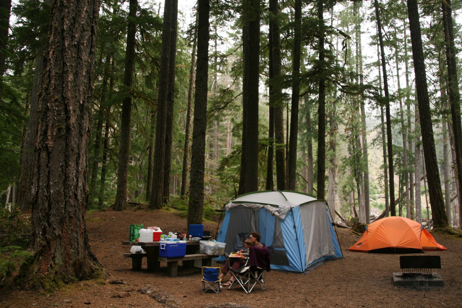 Camping: trip distance North America 2022