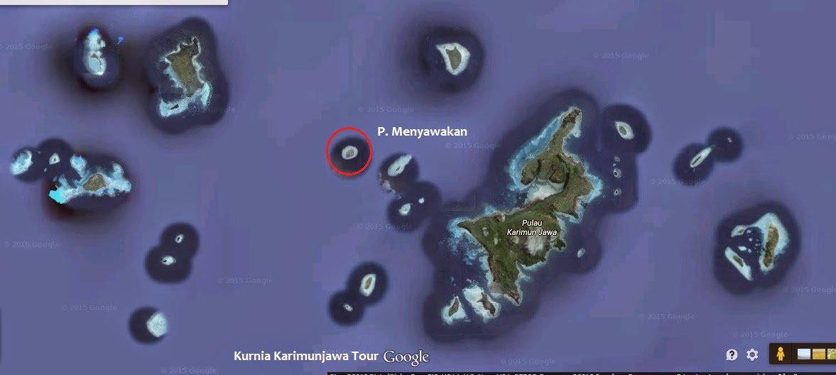 lokasi pulau menyawakan karimun jawa