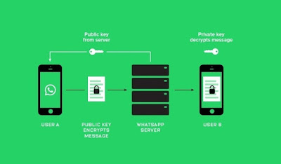 Aplikasi Whatsapp Sniffer aplikasi hacking android terbaik