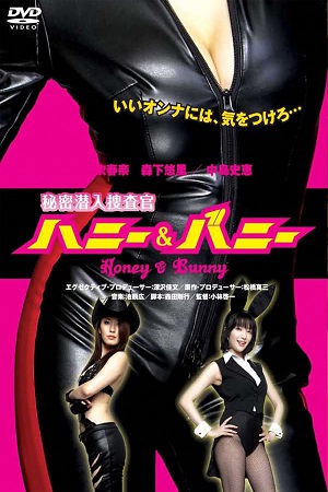 Secret Undecover Agent DVDRip