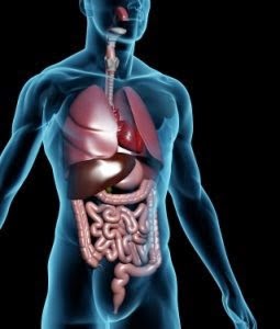 intestinos sucios sintomas intestinos sucios sintomas