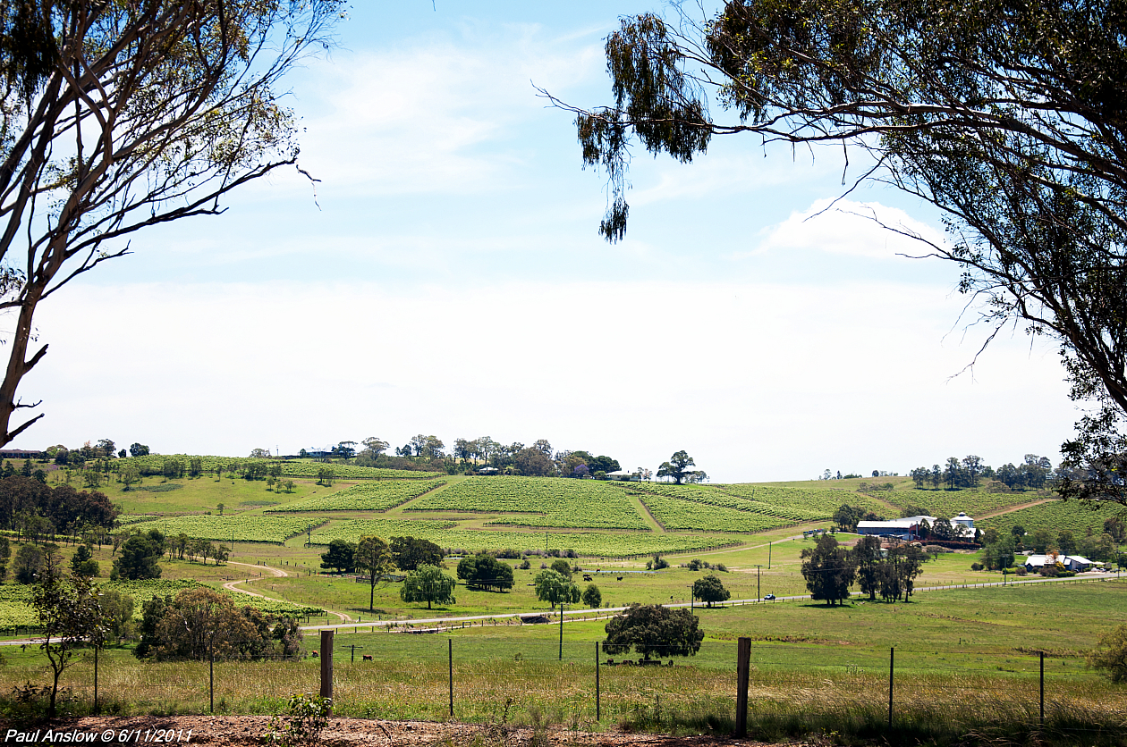 The Anslow Blog A Visit to the Lower Hunter Valley
