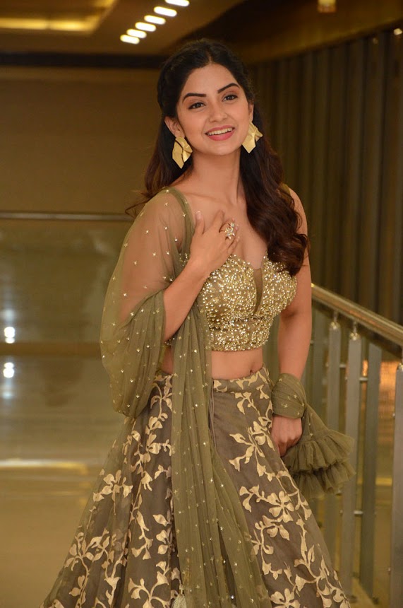 Kashmira Pardeshi at Narthanasala Pre-Release