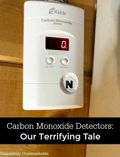 Kiddie Carbon Monoxide Detector Our terrifying tale