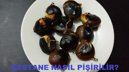 pratik bilgiler blogu