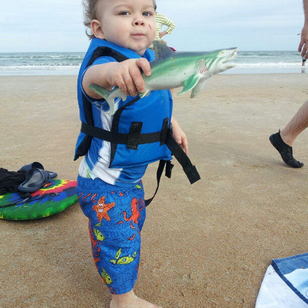 Toddler at Daytona Beach, Clearwater Beach, St Petersburgh Beach in Florida