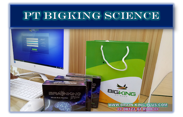 Brainking Plus Pusat, Kantor Brainking Plus, kantor Pusat Brainking Plus, Brainking Plus Center, Brainking Plus Asli Brainking Plus Pusat, Kantor Brainking Plus, kantor Pusat Brainking Plus, Brainking Plus Center, Brainking Plus Asli