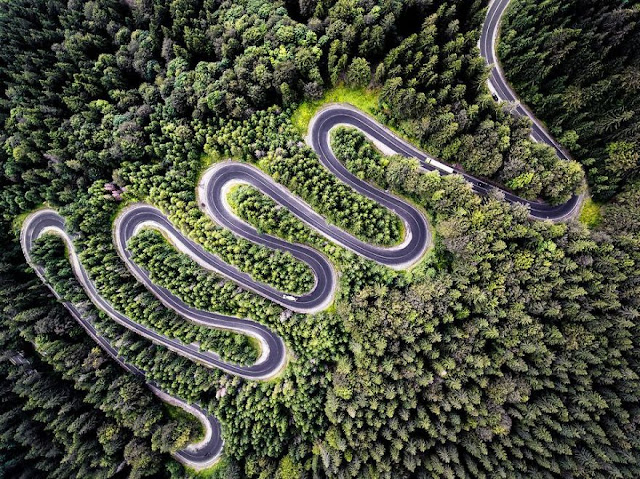 Las mejores fotografías de la naturaleza en 2017 por la National Geographic mejores-fotografías-naturaleza-National-Geographic