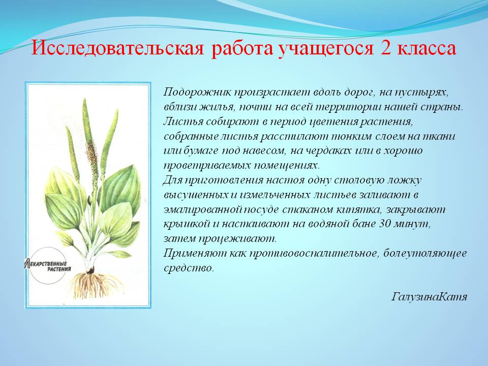 готовые домашние задания по опк