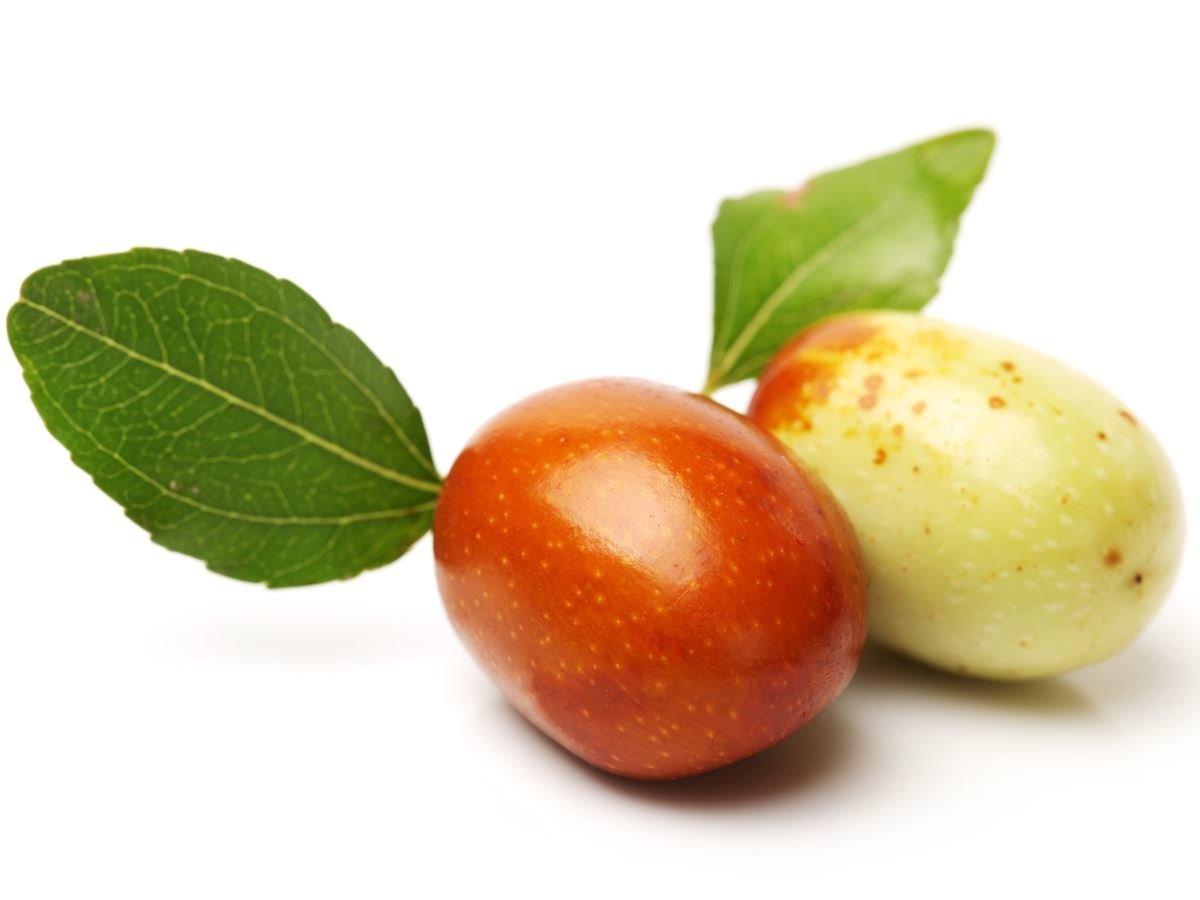 10 Benefits Jujube Fruit Benefit Fruit