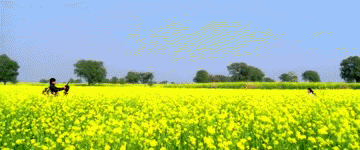 27 Years of DDLJ | Top Moments from Dilwale Dulhania Le Jayenge - Priya Adivarekar || Diary of a Dancebee - Lifestyle | Bollywood | Fashion | Beauty | Travel
