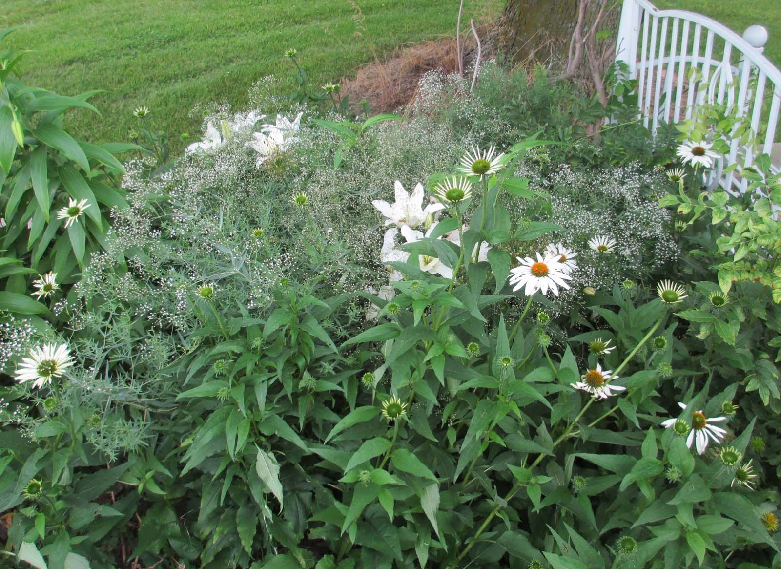 Garden Fancy The Gloriousness of High Summer