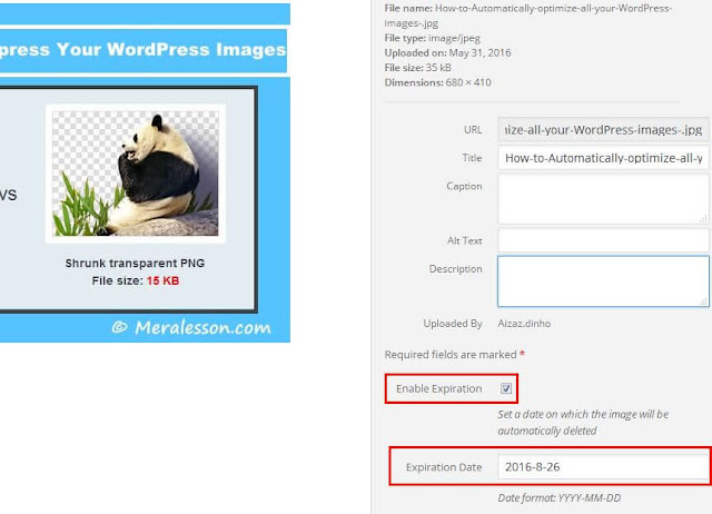 wordpress autoexpire posts wordpress autoexpire posts