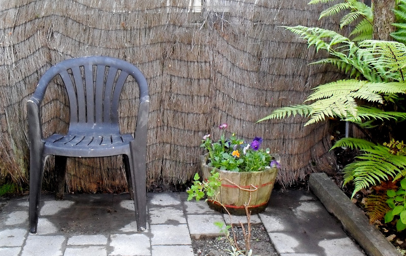 ERMAR'S WONDER GARDEN: Turning Your Patio into a Herb Garden