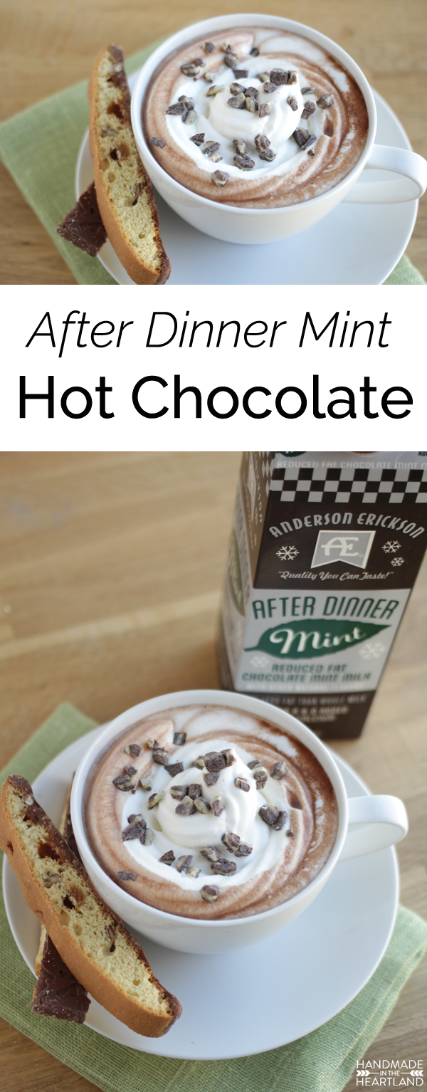 After Dinner Mint Hot Chocolate with AE Dairy