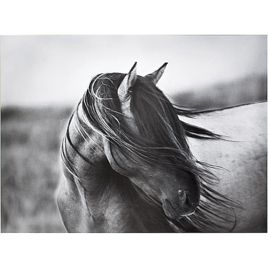 Riding & Writing... Dock Horses