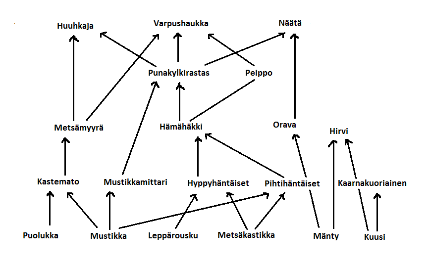 kentt-kurssi-mets-ekosysteemin-toiminta-ja-rakenne