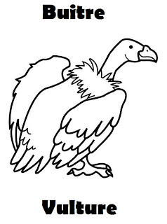 Tipos De Animales Terrestres Acuaticos Y Aereos Ppt Descargar