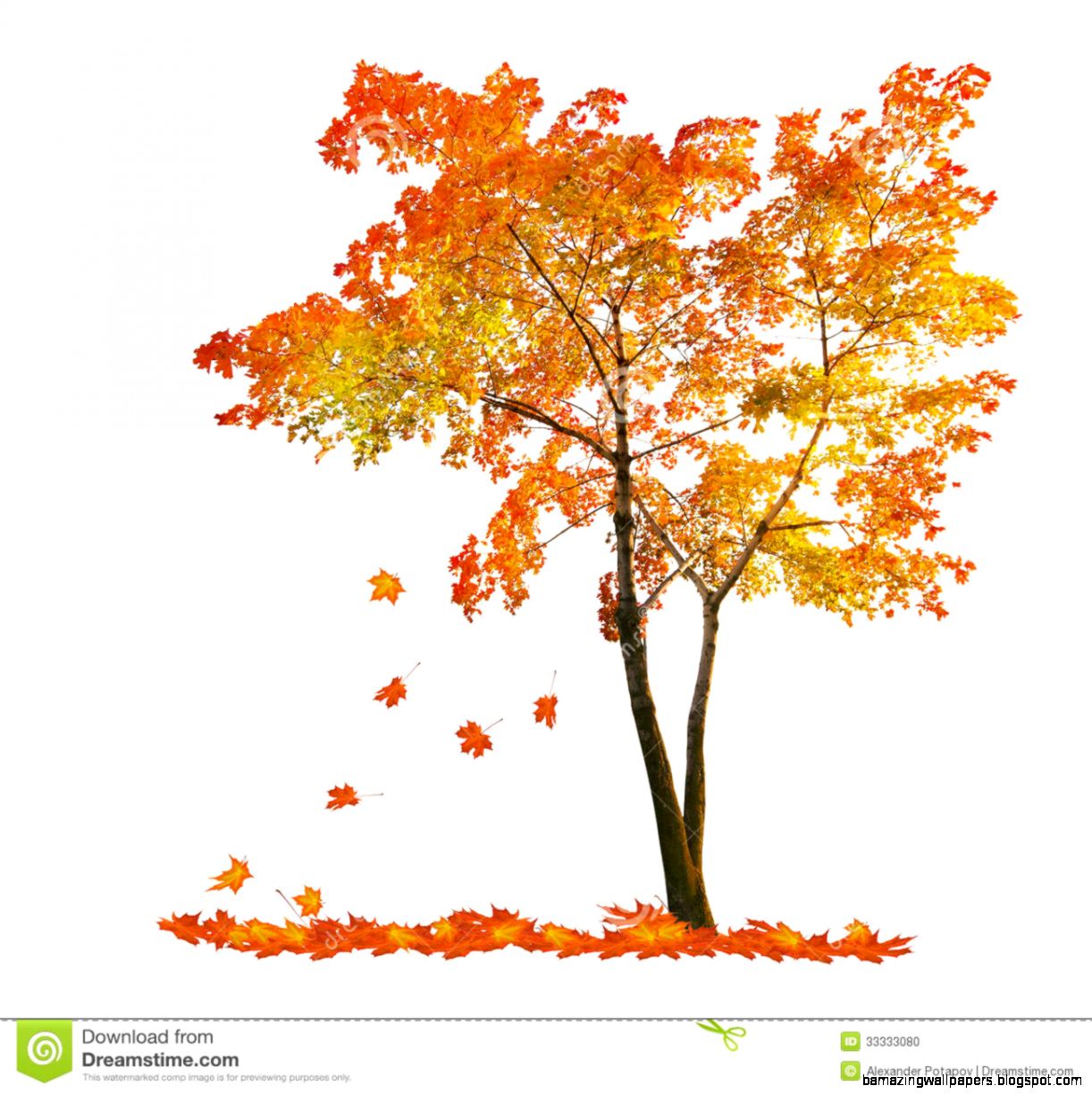 Autumn Leaves Falling From Trees Amazing Wallpapers