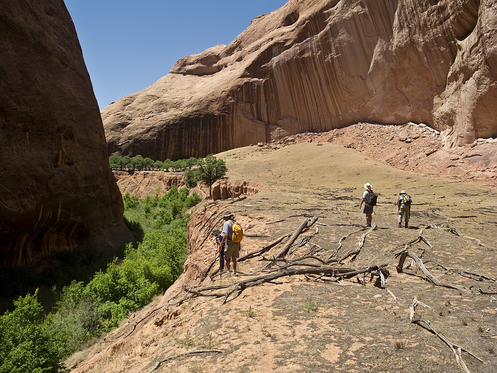 The Booby Hatcher Canyoneering Davis Gulch