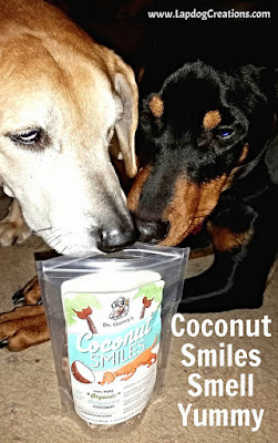Sophie and Penny are all smiles for Dr. Harvey's Coconut Smiles - Lapdog Creations #dogtreats #organic #Chewy #DrHarvey #coconutfordogs
