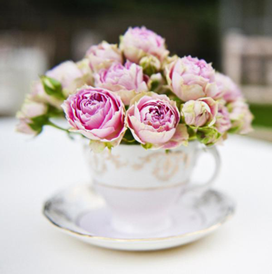 pink roses in a vintage teacup
