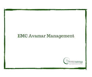 EMC Avamar Management