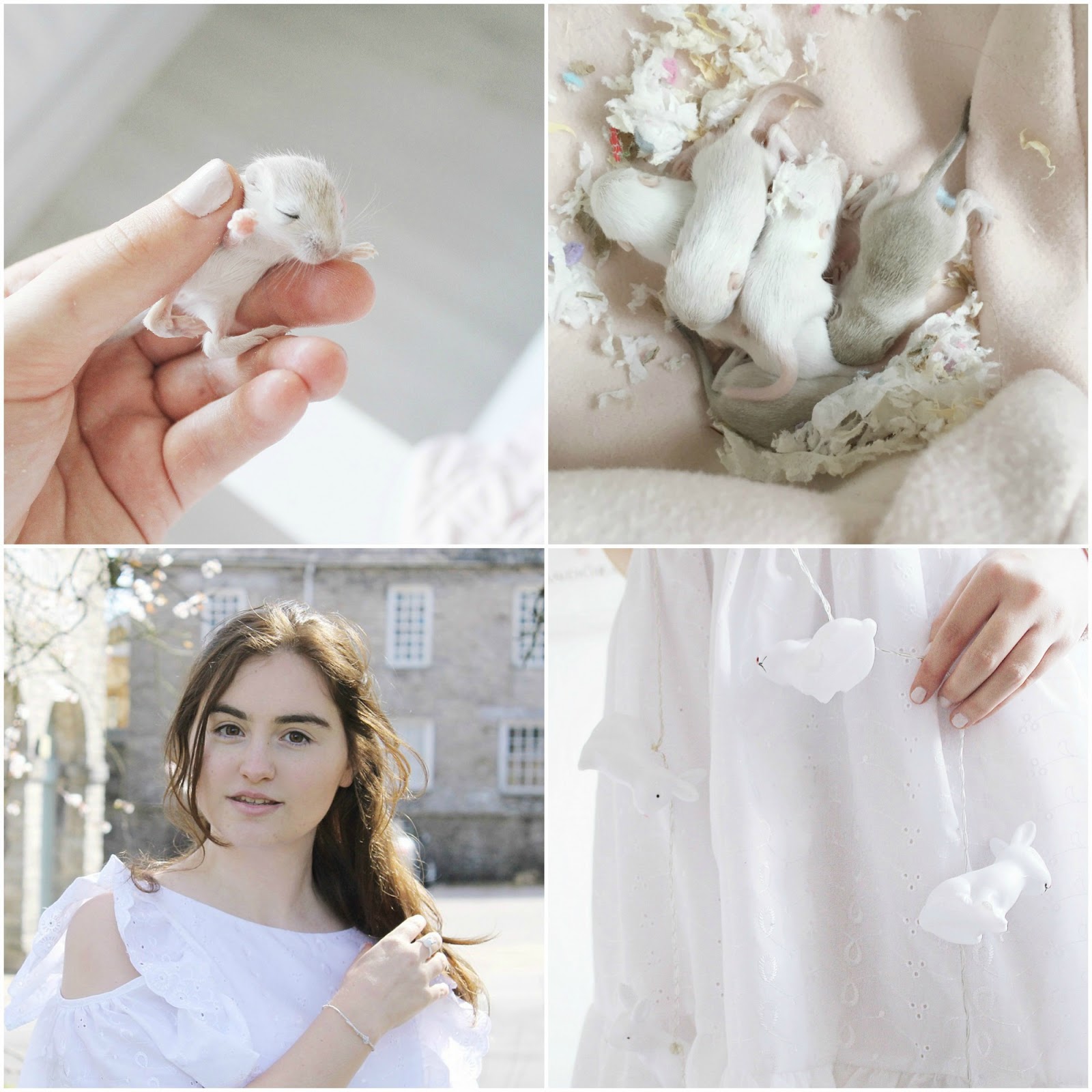 Spring photo diary pink girly blog aesthetic