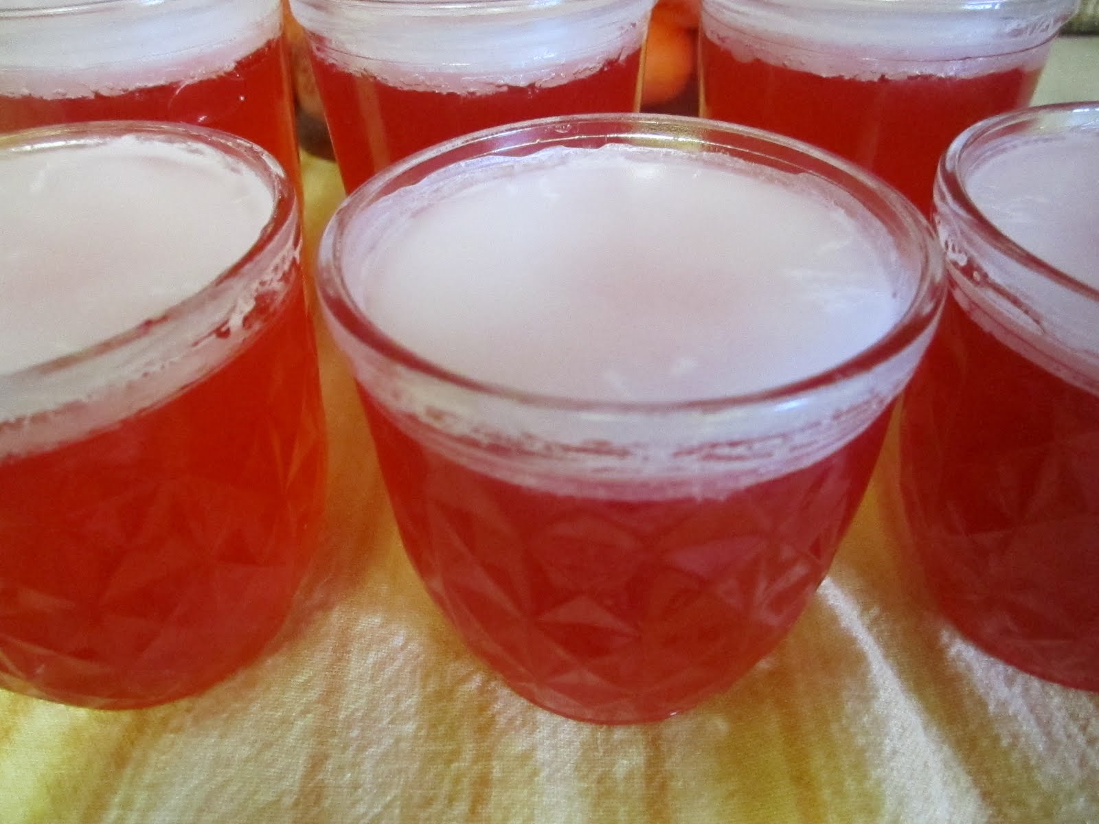 Molly's Kitchen Crab Apple Jelly & Pickles