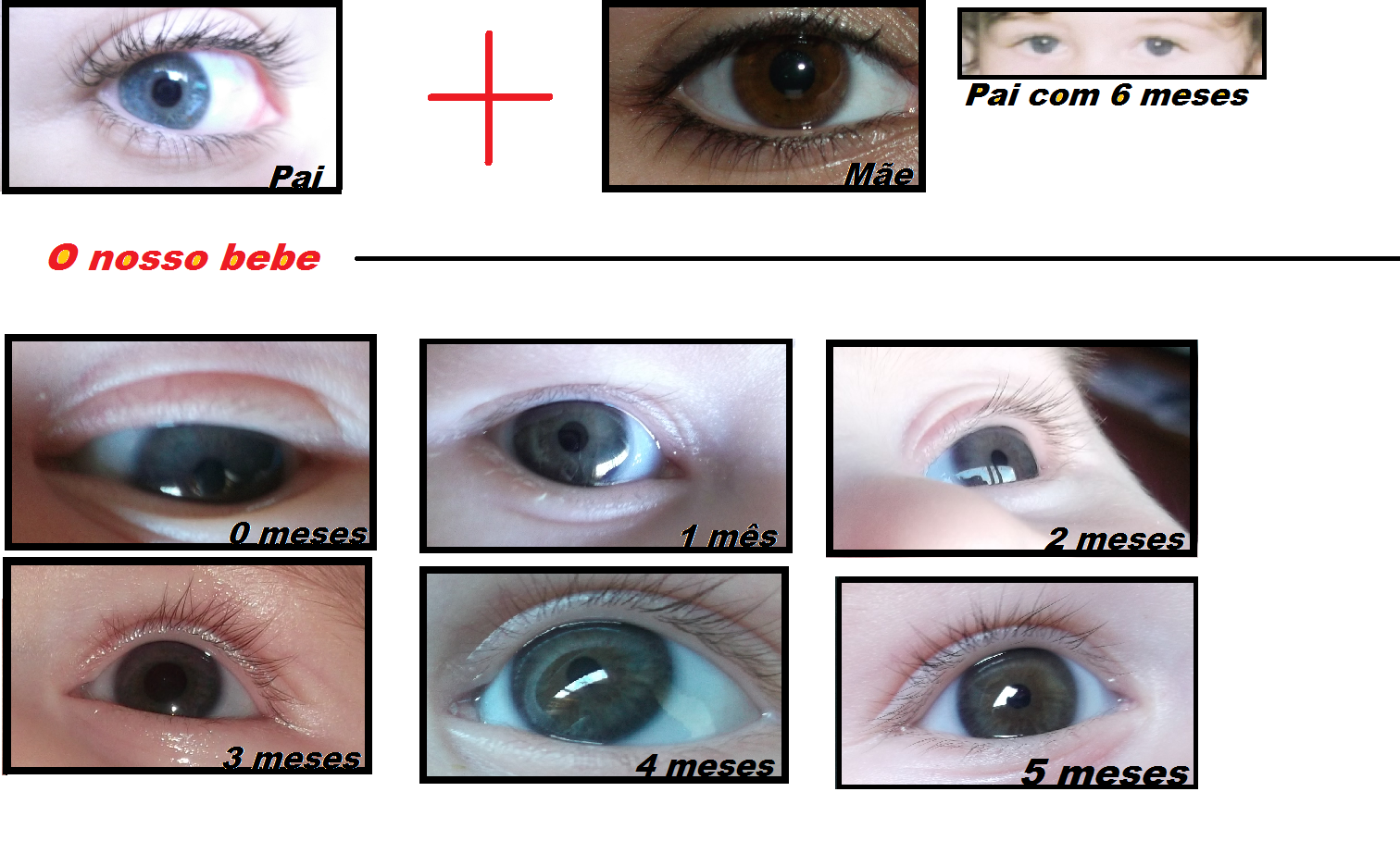 Teste Da Cor Dos Olhos Do