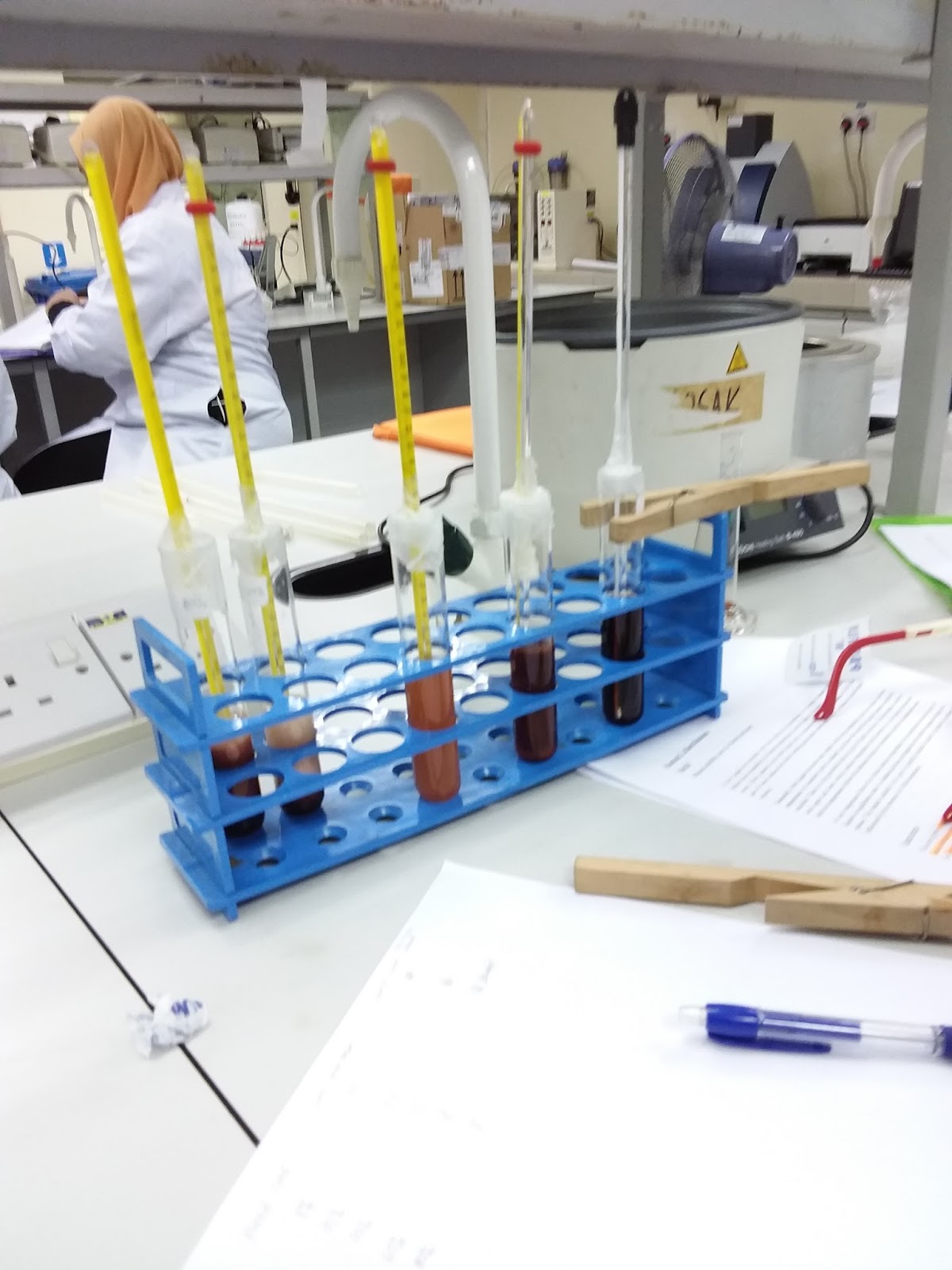Lab Report for Experiment 3b MUTUAL SOLUBILITY CURVE FOR PHENOL AND WATER