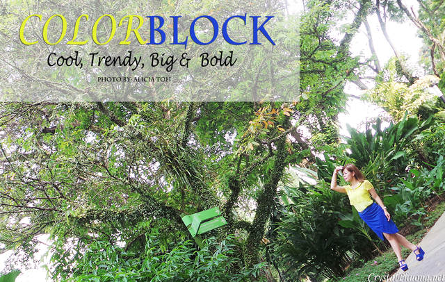 {CRYSTAL'S CLOSET}: HOW TO WEAR COLOR-BLOCK. 
