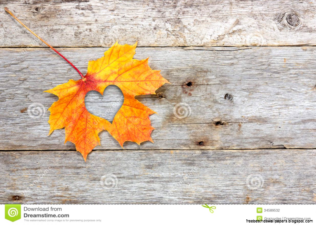 Fall In Love Stock Photo   Image 727890