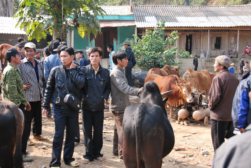 Tham quan chợ phiên Bảo Lâm ở Cao Bằng